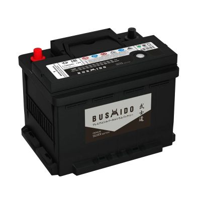 Лот: 16265487. Фото: 1. Аккумулятор Bushido Premium 61... Аккумуляторы