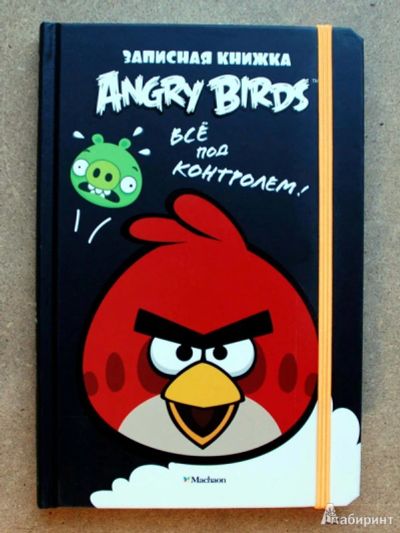 Лот: 19158413. Фото: 1. Энгри Бердс \ Angry Birds. Всё... Для рисования