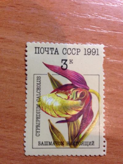 Лот: 5692722. Фото: 1. 1991 Орхидеи - Башмачок настоящий... Марки