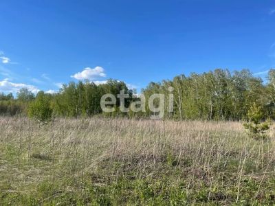 Лот: 25297251. Фото: 1. участок , садовые участки Штаны... Земельные участки