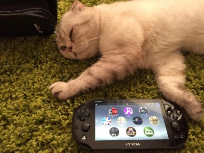 Лот: 5814836. Фото: 1. Sony playstation vita Slim. Игровые приставки, консоли