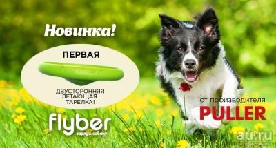 Лот: 9793959. Фото: 1. Летающая тарелка Флайбер Flyber... Игрушки для животных