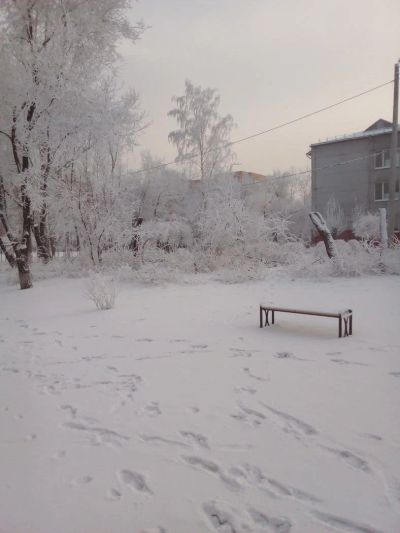 Лот: 11387839. Фото: 1. Куплю погреб. Подвалы, погреба, кладовые