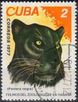 Лот: 21424197. Фото: 1. 1977. Куба. Кошки в зоопарке Гаваны... Марки