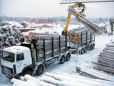 Лот: 2776883. Фото: 1. Лесной бизнес, Лесосибирск, Северный... Другое (готовый бизнес)