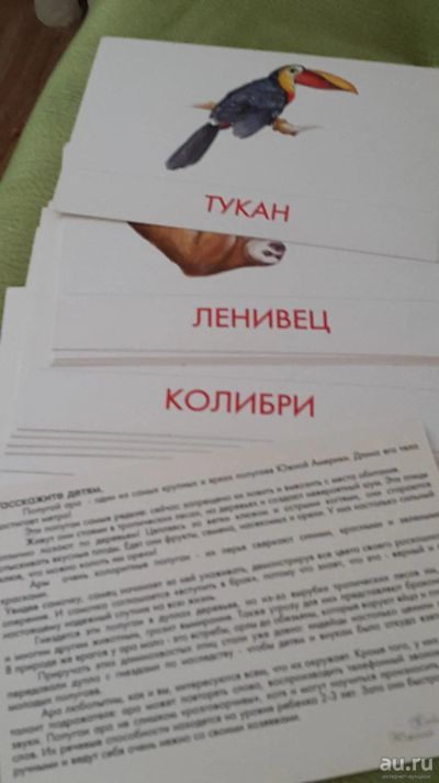 Лот: 9379598. Фото: 1. Карточки Животные Южной Америки. Познавательная литература