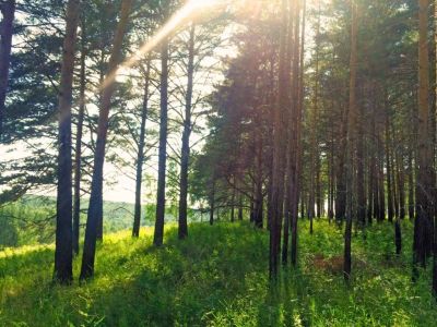 Лот: 13787933. Фото: 1. Продается участок 6 сот. , цена... Земельные участки