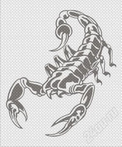 Лот: 279644. Фото: 1. виниловая наклейка =SCORPION 02... Детали тюнинга