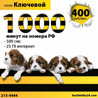 Лот: 16232946. Фото: 1. 1000 минут на РФ + 25Гб интернета... Красноярск