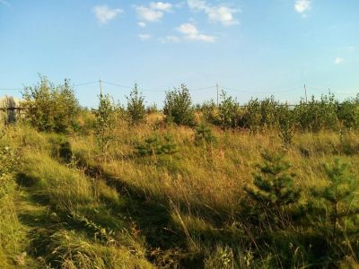 Лот: 7540124. Фото: 1. 20 соток. Ориентир - д. Старцево... Земельные участки