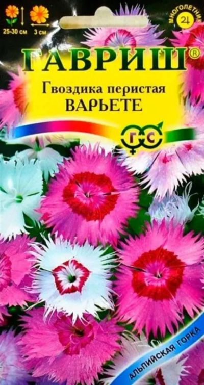 Лот: 23550351. Фото: 1. Гвоздика перистая Варьете. Садовые цветы