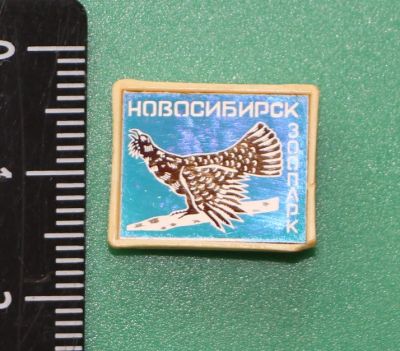 Лот: 11764508. Фото: 1. Значок: Новосибирск. Зоопарк... Сувенирные