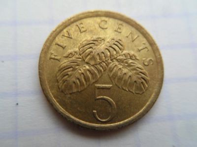 Лот: 8927571. Фото: 1. Сингапур 5 центов 1987. Азия