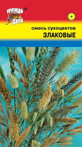 Лот: 10843330. Фото: 1. Смесь семян сухоцветов "Злаковые... Садовые цветы