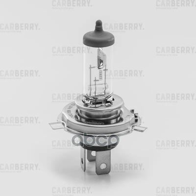Лот: 24860291. Фото: 1. Лампы 12V H4 (60/55W) Day&Night... Оптика и освещение