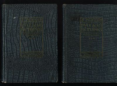Лот: 19917675. Фото: 1. Рожков Н.А. Русская история в... Книги