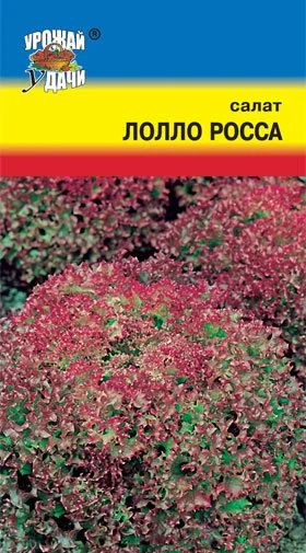 Лот: 10985367. Фото: 1. Семена салата "Лолло Росса" -... Пряные, лекарственные растения и зелень