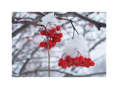 Лот: 6767208. Фото: 1. Постер в безбагетной раме (клип... Произведения