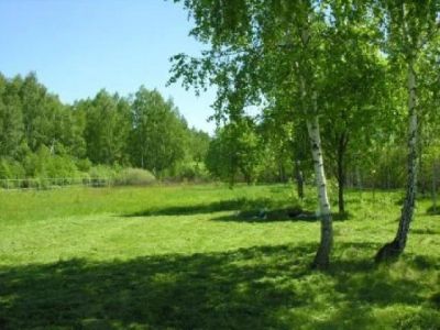 Лот: 2715466. Фото: 1. Земельный участок. Земельные участки