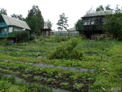 Лот: 13216626. Фото: 1. Продам дачу станция "Правая... Дачи