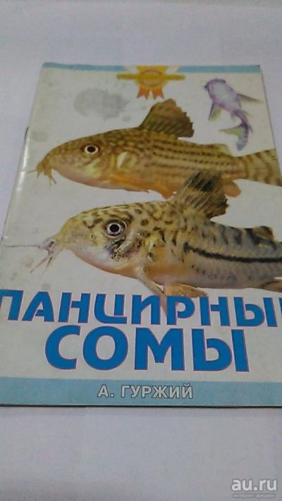 Лот: 9979034. Фото: 1. Книга. Панцирные сомы. А. Гуржий... Домашние животные
