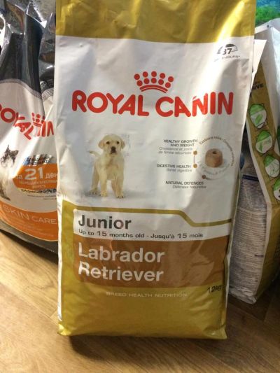 Лот: 6038591. Фото: 1. Royal Canin Labrador Retriever... Корма