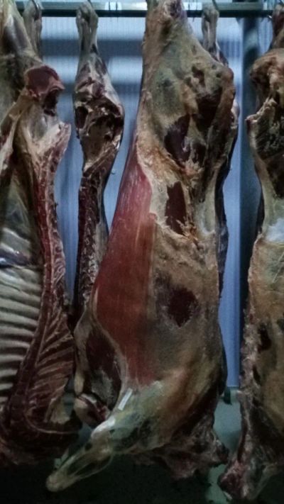 Лот: 20306281. Фото: 1. Быки заморозка промзабой 18000... Мясо, птица, яйцо