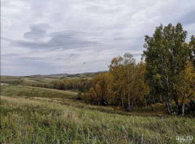 Лот: 17678787. Фото: 1. Участок 13 соток ДНТ Теремок. Земельные участки