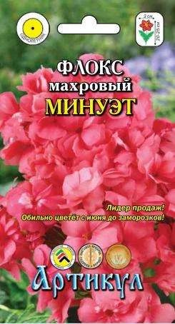 Лот: 11025590. Фото: 1. Флокс Минуэт 7шт. Садовые цветы