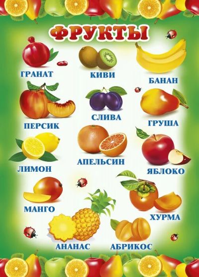 Лот: 7509299. Фото: 1. Новый плакат "Фрукты", 210х295... Развивающие
