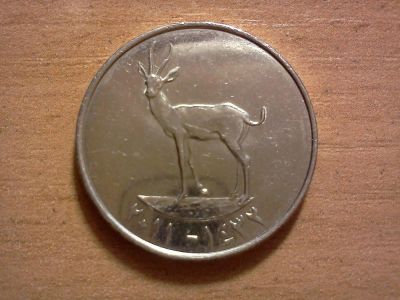 Лот: 6560791. Фото: 1. 25 филс ОАЭ. Ближний восток