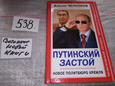 Лот: 16439632. Фото: 1. Челноков А. С. Путинский Застой... Политика