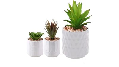 Лот: 24700273. Фото: 1. Растение искусственное Succulente... Другое (предметы интерьера)