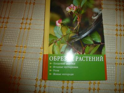 Лот: 5043997. Фото: 1. Д. Сквайр. Обрезка растений.М... Сад, огород, цветы