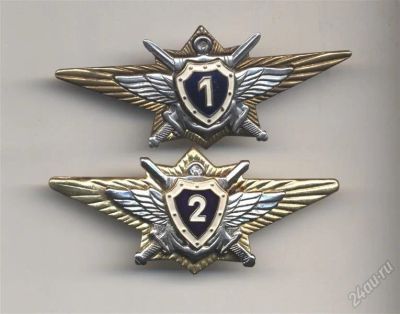Лот: 1514879. Фото: 1. Нагрудный знак ВС РФ "Специалист... Другое (значки, медали, жетоны)