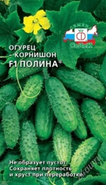 Лот: 1851307. Фото: 1. Продам рассаду корнишона Полина. Другое (семена, рассада, садовые растения)