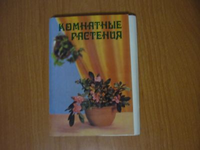 Лот: 12195765. Фото: 1. Набор открыток Комнатные растения. Открытки, конверты