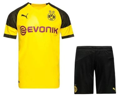 Лот: 16390060. Фото: 1. Футбольная форма Puma FC BVB... Форма
