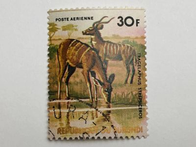 Лот: 23316559. Фото: 1. Африканские животные. Большой... Марки