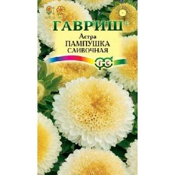 Лот: 3642231. Фото: 1. Астра Пампушка сливочная (семена... Садовые цветы