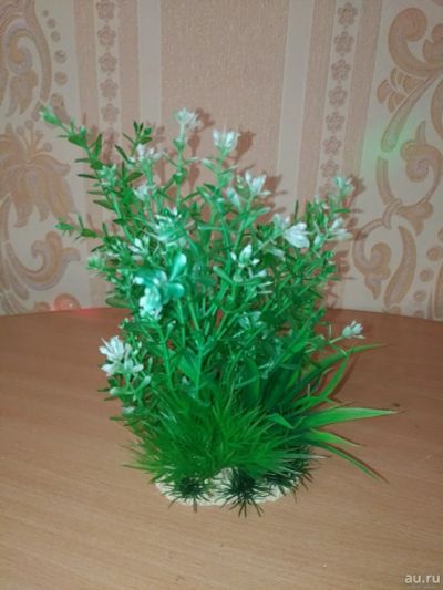 Лот: 12835607. Фото: 1. Водоросли для аквариума искусственные... Водные растения