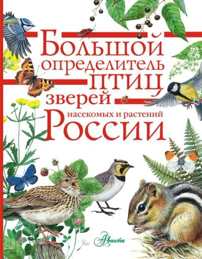 Лот: 11513218. Фото: 1. Большой определитель птиц, зверей... Справочники
