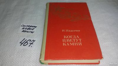 Лот: 10030306. Фото: 1. Когда цветут камни, Иван Падерин... Художественная