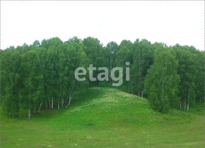 Лот: 25298505. Фото: 1. участок , садоводческое некоммерческое... Земельные участки