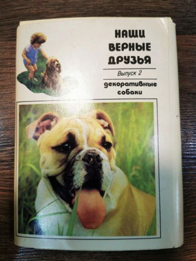 Лот: 17430283. Фото: 1. Цветные открытки (карточки) собаки. Открытки, конверты