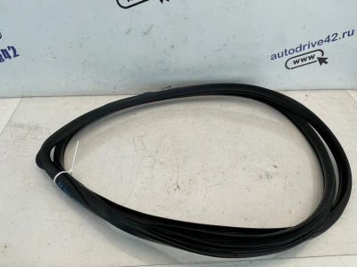 Лот: 24372785. Фото: 1. уплотнитель проема двери Hyundai... Другое (автозапчасти)