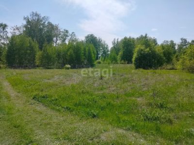 Лот: 25296172. Фото: 1. участок , деревня Терентьево деревня... Земельные участки