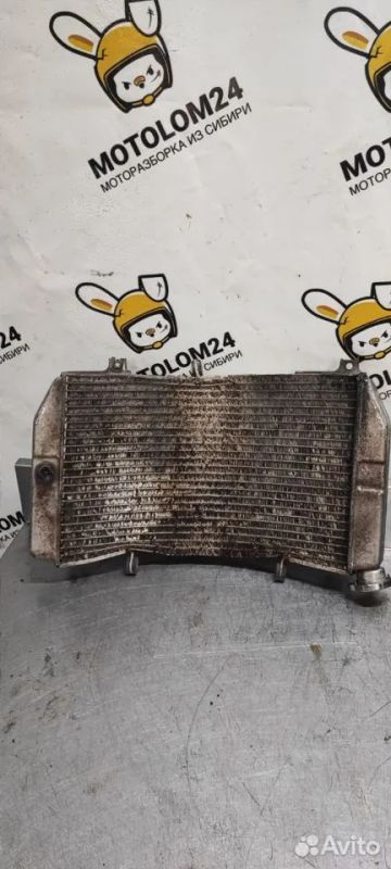 Лот: 22463037. Фото: 1. Радиатор Suzuki gsx 600 750 k1... Запчасти