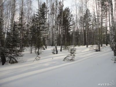 Лот: 4115577. Фото: 1. Земельный участок ИЖС на станции... Земельные участки