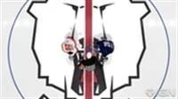 Лот: 3896760. Фото: 1. NHL13 Русская версия LT3.0. Игры для консолей